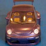 Galerie_Julien_beetle_5