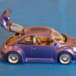Galerie_Julien_beetle_6