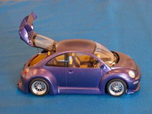Galerie_Julien_beetle_6